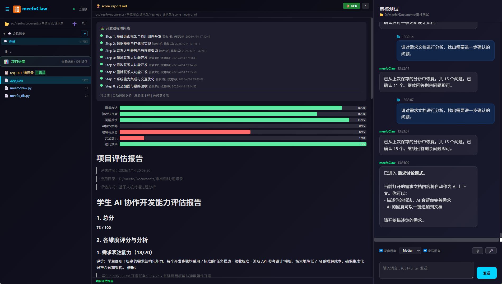 评分报告
